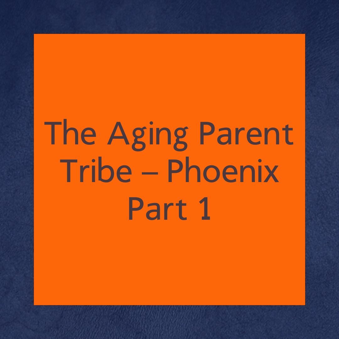 The Retirements Next Steps Podcast Ep1 Stephanie Bivens (1)